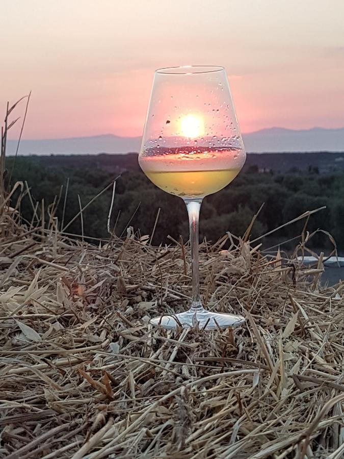 Serra Niedda Resort & Agriturismo Sorso Eksteriør billede